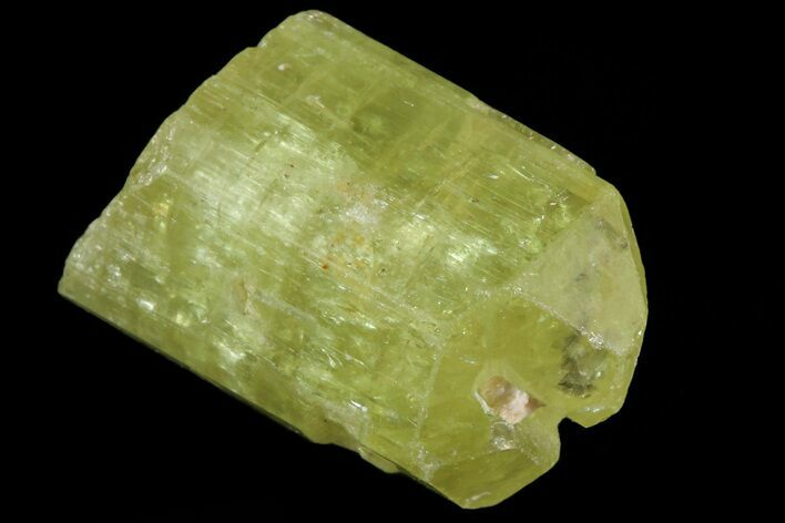 Bargain Lustrous Yellow Apatite Crystal - Morocco #82568